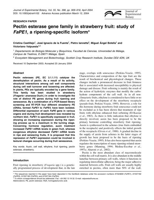 Pectin esterase gene family in strawberry fruit - Journal of ...