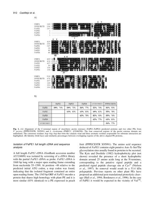 Pectin esterase gene family in strawberry fruit - Journal of ...