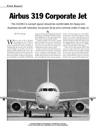 Airbus 319 Corporate Jet