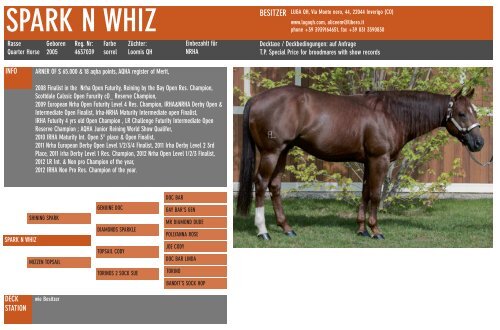 SPARK N WHIZ