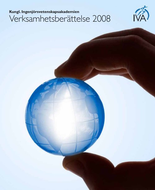 Verksamhetsberättelse 2008 - IVA