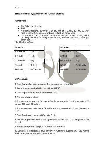 Extraction of cytoplasmic and nuclear proteins