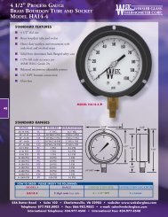 Weksler Glass Process Gauges - Kodiak Controls