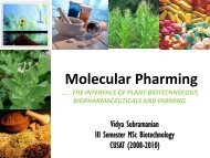 Molecular Pharming - (CUSAT) â Plant Biotechnology laboratory