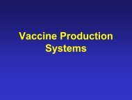 Vaccine Production Principles