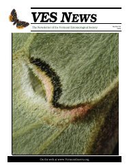 VES News - Summer 2009 - Vermont Entomological Society