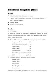 Site-directed mutagenesis protocol - iGEM '09