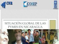 Las PyMes en Nicaragua - Entorno Virtual de Aprendizaje