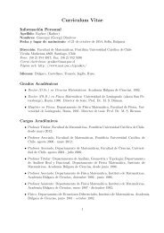 Curriculum Vitae - Facultad de MatemÃ¡ticas. Pontificia Universidad ...