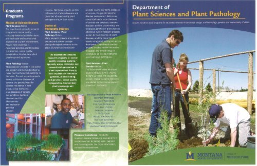 brochure in PDF format - College of Agriculture - Montana State ...