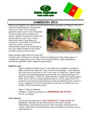 Cameroun2013_Bongo_ afbud.pdf - Buhls Jagtrejser