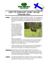 Hvidhalet hjort i Finland.pdf - Buhls Jagtrejser