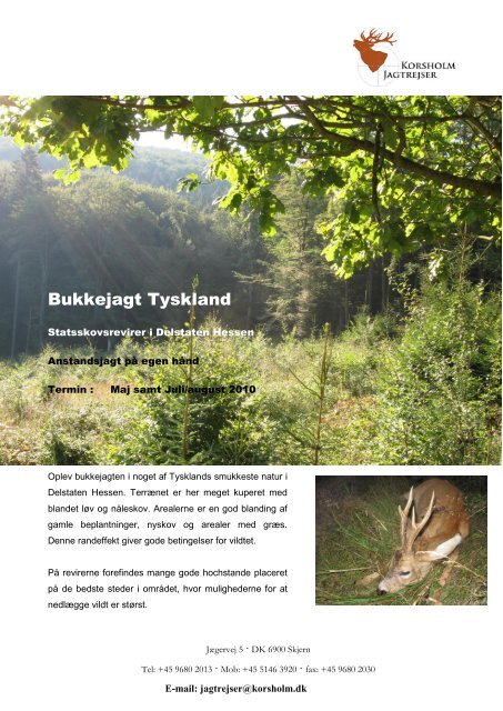 Bukkejagt Tyskland - Korsholm Jagtrejser