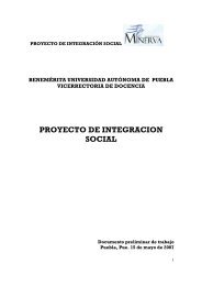 Descargar Documento PDF - modelo universitario minerva