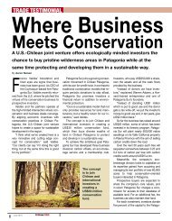 Where Business Meets Conservation - Patagonia Sur