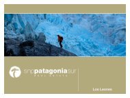 Los Leones - Patagonia Sur