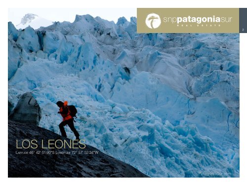 Los Leones - Patagonia Sur