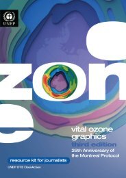 Vital Ozone Graphics 3 - Ozone Secretariat - UNEP