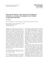 Stem and leaf anatomy of the arborescent Cucurbitaceae ... - Springer