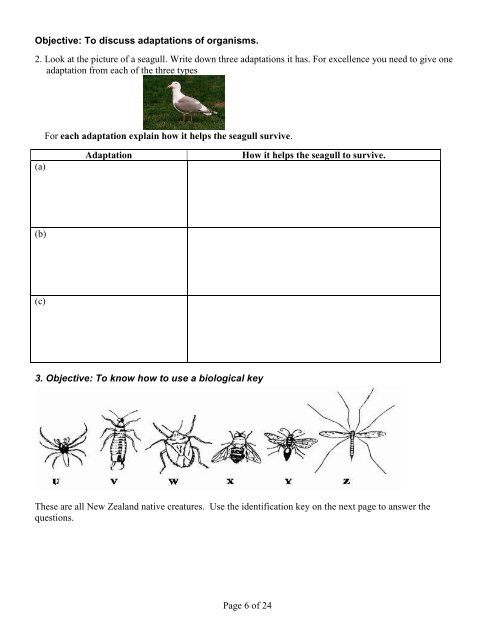 Year 9 2009 Exam