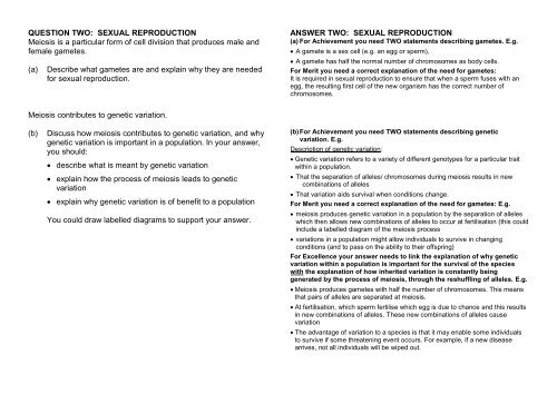 Genetics Biology Worksheet ANSWERS