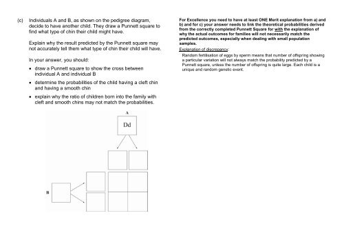 Genetics Biology Worksheet ANSWERS