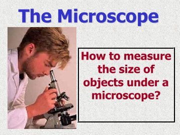 How to measure the size of objects under a microscope?