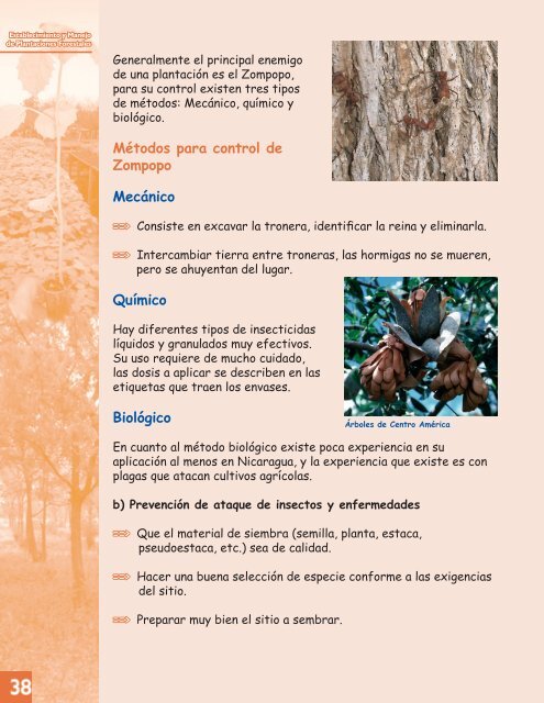 MANUAL DE PLANTACIONES forestales.pdf - magfor