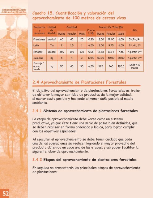 MANUAL DE PLANTACIONES forestales.pdf - magfor