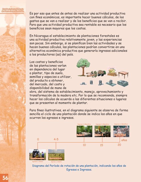 MANUAL DE PLANTACIONES forestales.pdf - magfor