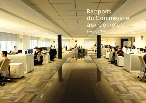 Rapport annuel 2010 de TELNET HOLDING