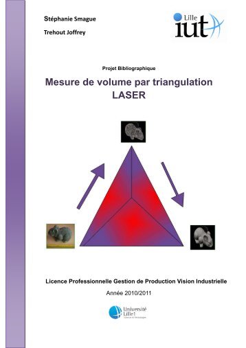 Mesure de volume par triangulation LASER - IUT