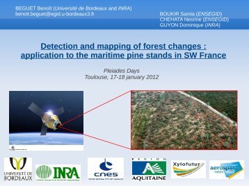 Detection and mapping of forest changes : application to the ...