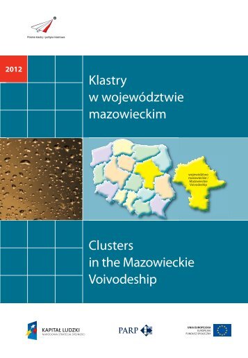 Klastry w wojewÃ³dztwie mazowieckim Clusters in ... - Portal Innowacji