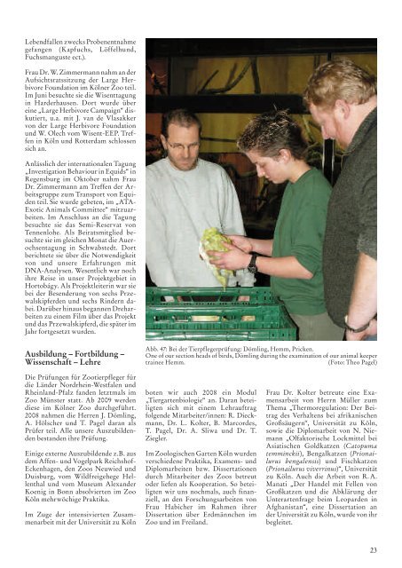 Jahresbericht 2008 der Aktiengesellschaft ... - Kölner Zoo