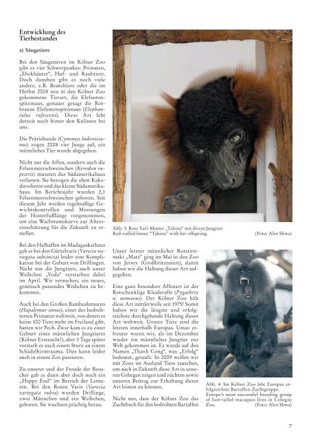 Jahresbericht 2008 der Aktiengesellschaft ... - Kölner Zoo