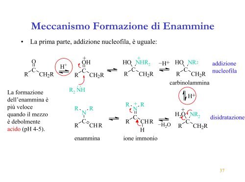 Composti Carbonilici - ITIS E. Divini