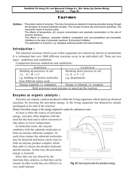 Enzymes - Www2.hkedcity.net