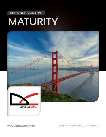 PMI Based Maturity Assessment - White Paper - Digital Celerity