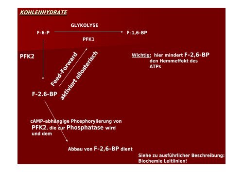 Die Glykolyse - Biochemie-trainings-camp.de