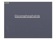 Glycerophosphatide