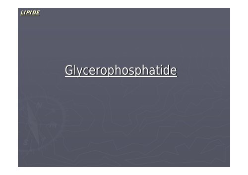 Glycerophosphatide