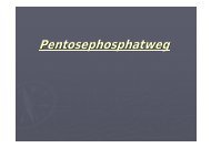 Pentosephosphatweg - Biochemie-trainings-camp.de