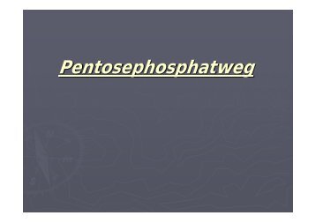 Pentosephosphatweg - Biochemie-trainings-camp.de