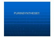PURINSYNTHESE!! - Biochemie-trainings-camp.de