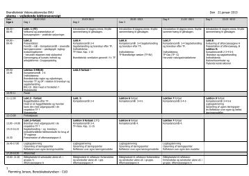 Konsulentfirmaet ARGO - Beredskabsstyrelsen