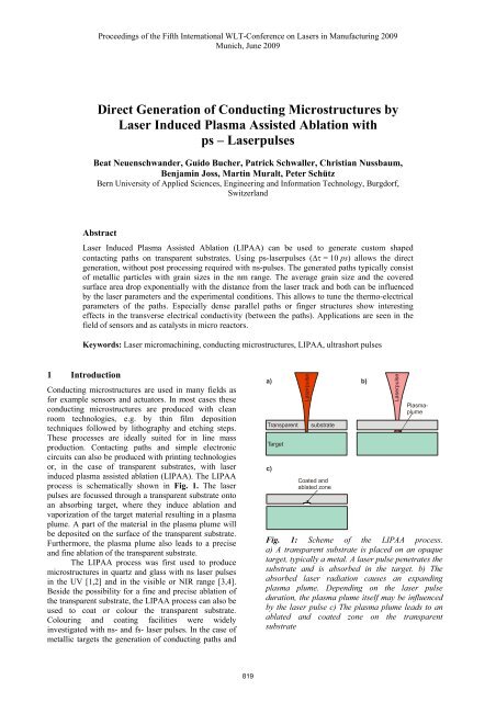 Laser Induced Plasma Assisted Ablation LIPAA