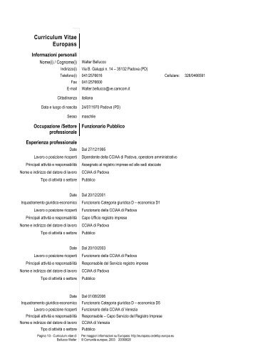 Curriculum - CCIAA di Pordenone