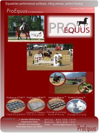 Riding arena consulting, design and execution, by ProEquus of ...