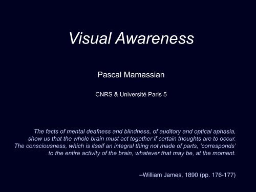 Visual Awareness - Pascal Mamassian